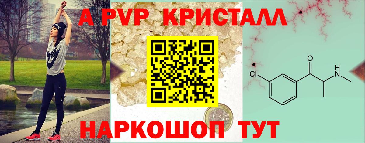A-PVP СК Ярославль