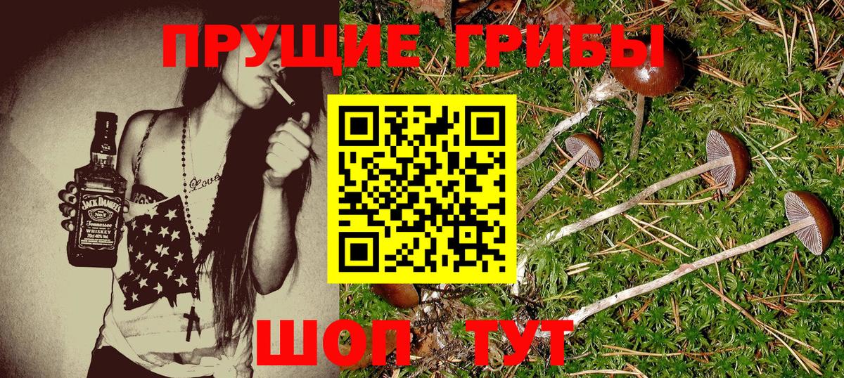 Ярославль  Псилоцибиновые грибы ЛСД  Вход с VPN 
